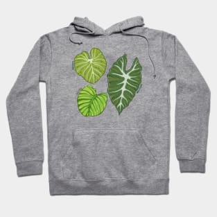 Three Leaves Hoodie